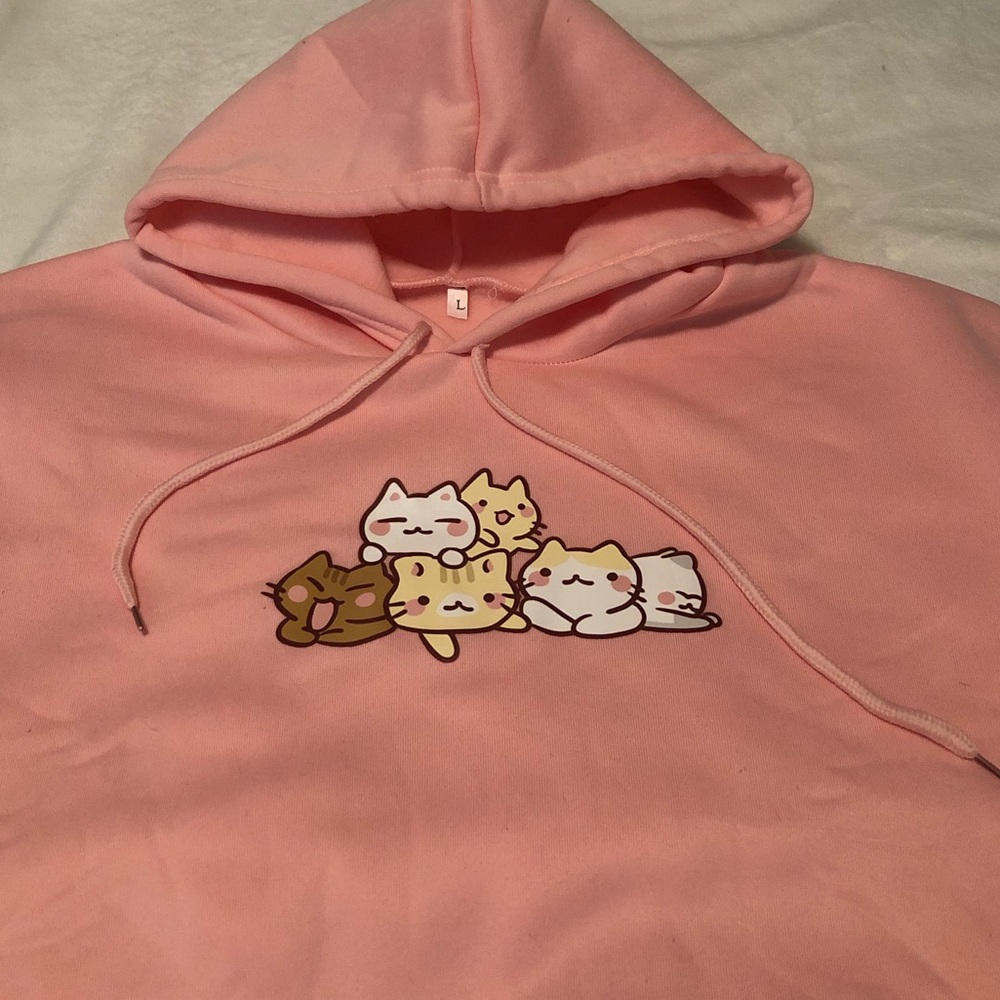 Adorable Pink Kawaii Kitties Hoodie